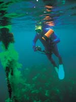 buceo_galicia2.jpg