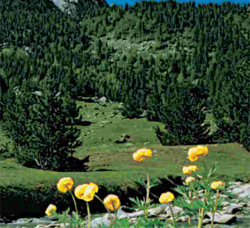 Deportes de Aventura en Andorra