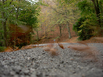 Parque Natural del Montseny