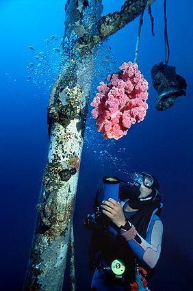 Buceo descubriendo la belleza de los barcos hundidos