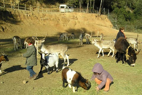 Zoo en Collserola