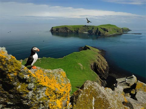 Isla Shiant, Lewis, Escocia