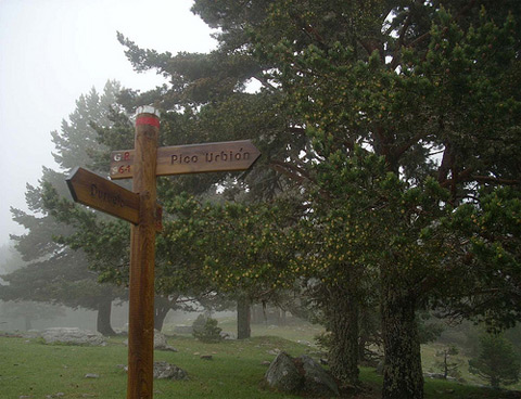 Senderismo desde la Laguna Negra al Pico de Urbión