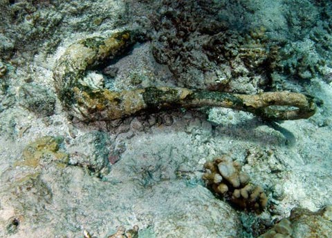 Gancho del barco para la grasa