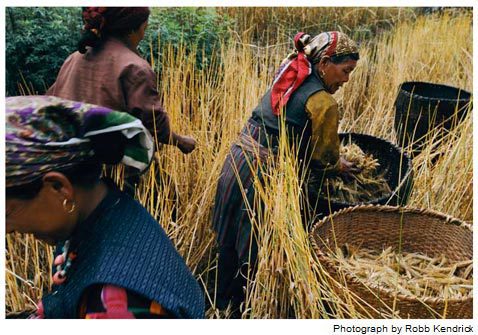 La vida de la mujer Sherpa