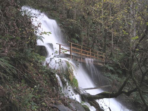 Puente de madera