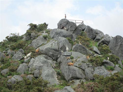 Llegando al mirador de Teixido