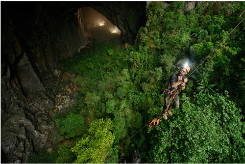 Una jungla dentro de una cueva