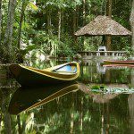 28 maravillas de la naturaleza. Amazonia