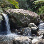 28 maravillas El Yunque