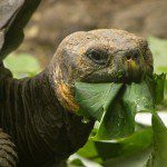 28 maravillas Islas Galápagos