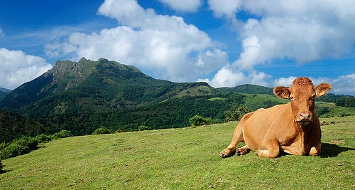 Excursiones en el Parque Natural Aiako Harria