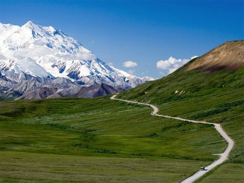 Denali National Park