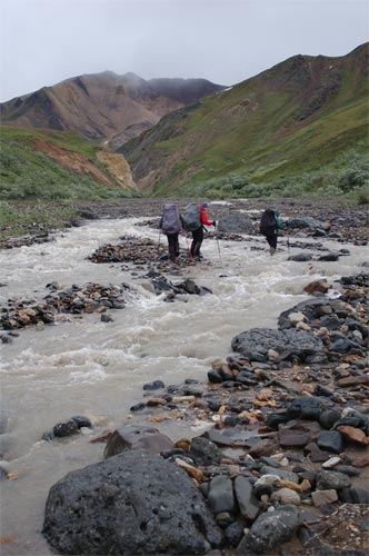 Senderismo y excursionismo en Denali