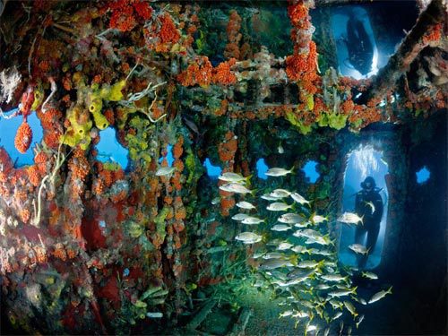 Buceo en el barco hundido en Key Largo, Florida (Estados Unidos)