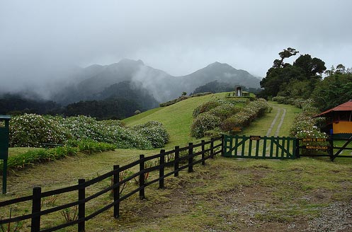 Sendero Los Quetzales