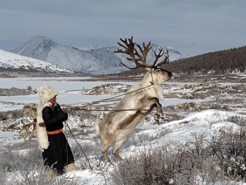 Viaje de aventura a Mongolia