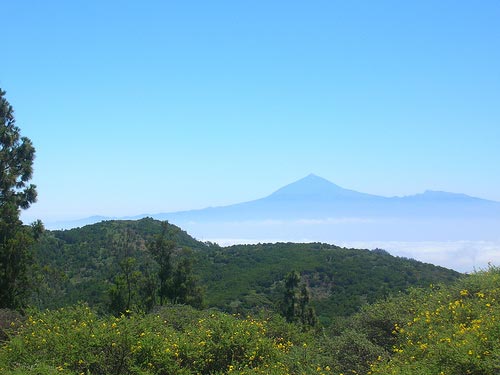Vista del Teide desde el parque de Garajonay