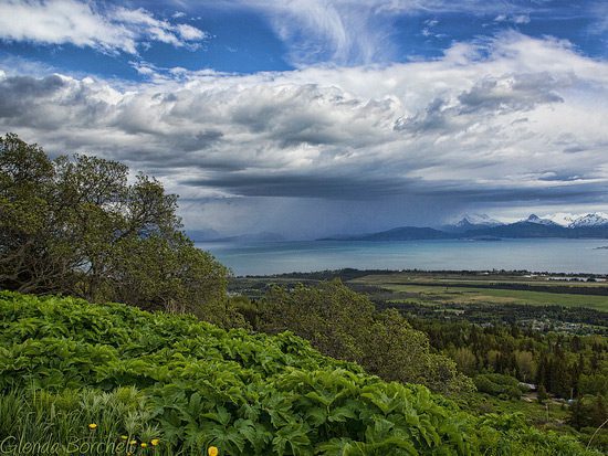 Homer (Alaska)