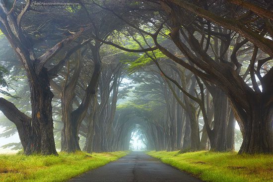 Point Reyes National Seashore, California