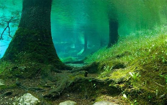 Buceo en Austria - Grüner See