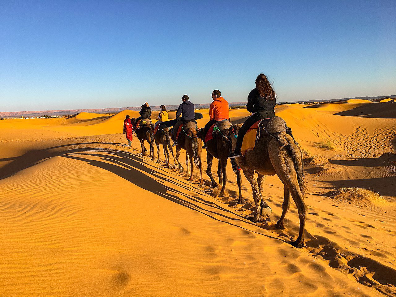Excursión en camello por el desierto