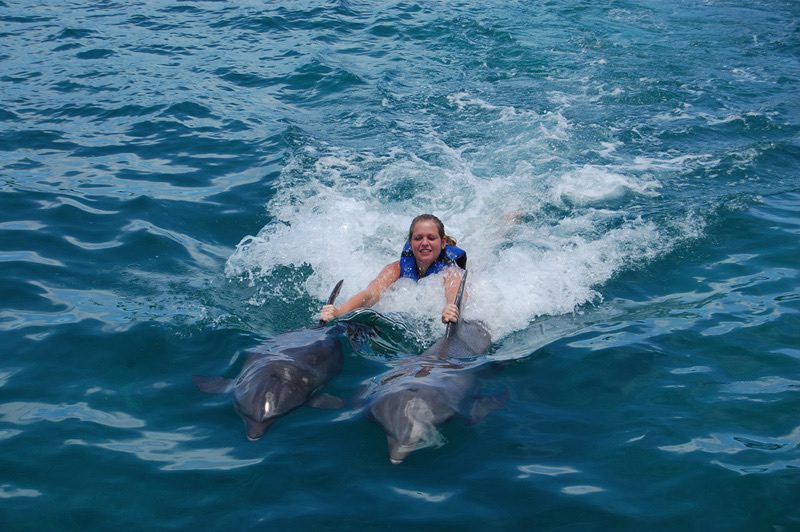 Nadando con delfines con Dolphin Discovery