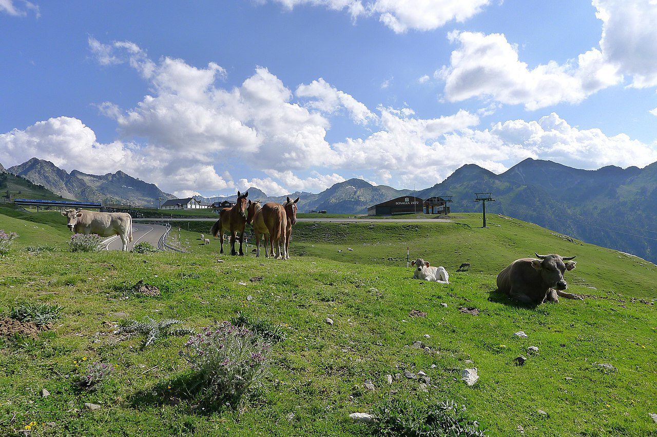 Port de la Bonaigua