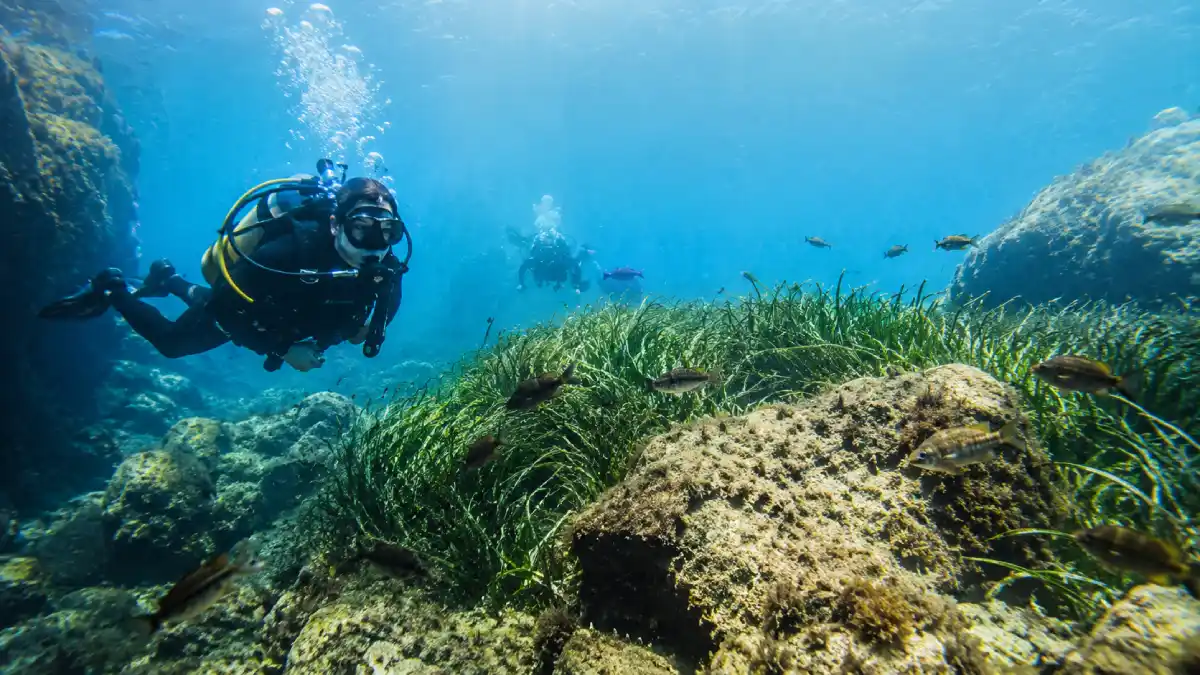 Guía de submarinismo o buceo y empresas de España